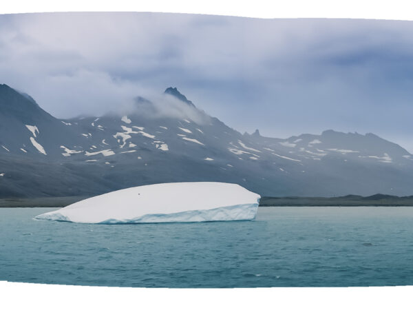 Fortuna Buy, Antarctis, Iceberg